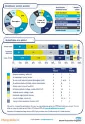 Primary Care Zone Report – January 2019