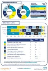 Mental Health Zone Report – January 2019